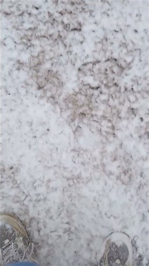 Snow Storm Already in October? #weather #snow #storm #snowstorm #winter #early #rain #sunny #windy