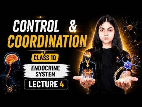 Control and Coordination Class 10 | Endocrine System (Hormonal System) | Full Explanation | CBSE