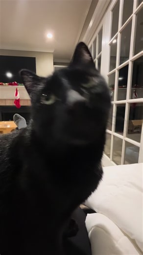 Bro almost had a thought #funny