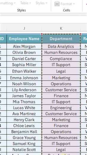 Create a Search Bar in Excel Using FILTER Formula || How to Create Search Box in Microsoft Excel