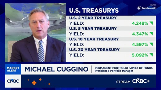 Watch CNBC's full interview with Permanent Portfolio Family of Funds' Michael Cuggino