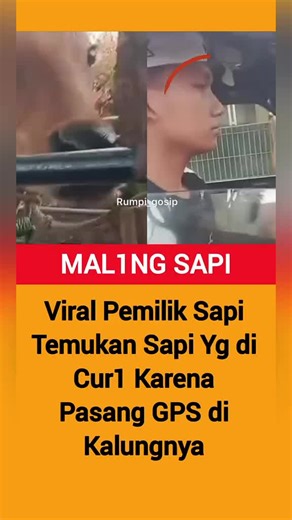 Panduan Lengkap Menggunakan GPS untuk Sapi dan Kendaraan