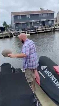 Man Jumps Into The Water To Help A Baby Fawn