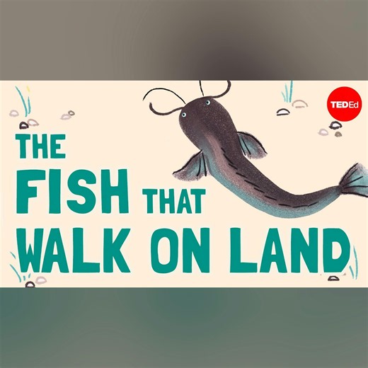 The fish that walk on land - Noah R. Bressman – TED-Ed – Podcast
