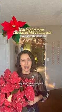 Share this with someone you know who is thinking of trashing their poinsettia! #poinsettias #plants