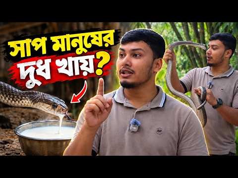 Huge Snake Entered the Cattle Shed! The Rescue | A Huge Snake Rescue | Wildlife Education | Aware...
