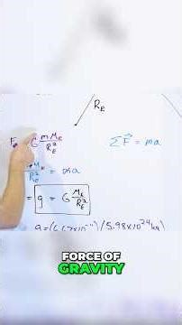 Falling Objects Break Common Sense