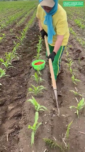 🌱🔧 Six-Blade Row Cultivator for Fast Weed Cutting and Soil Loosening