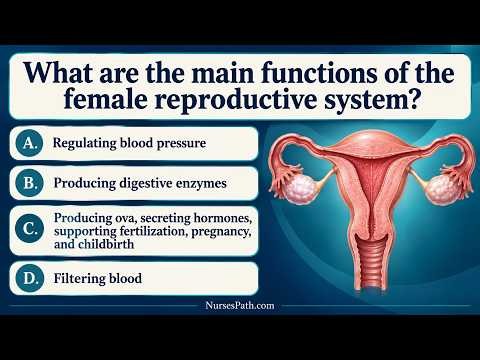 What are the main functions of the female reproductive system？#NursingStudents