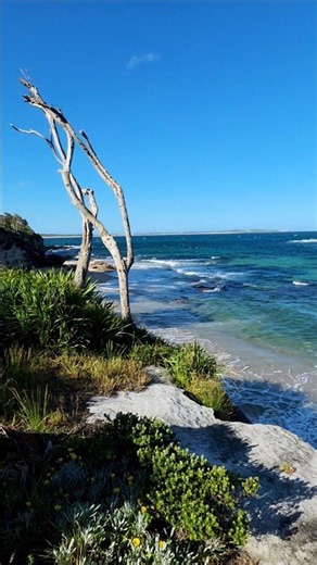 Cronulla Beach #cronulla #cronullabeach #sutherlandshire #sydney #beach #travel #australia
