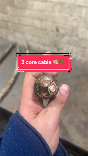 Stripping a small sample amount of some 3 core copper cable 💸♻️ #copper #money #recycle #coppergraft #drybright
