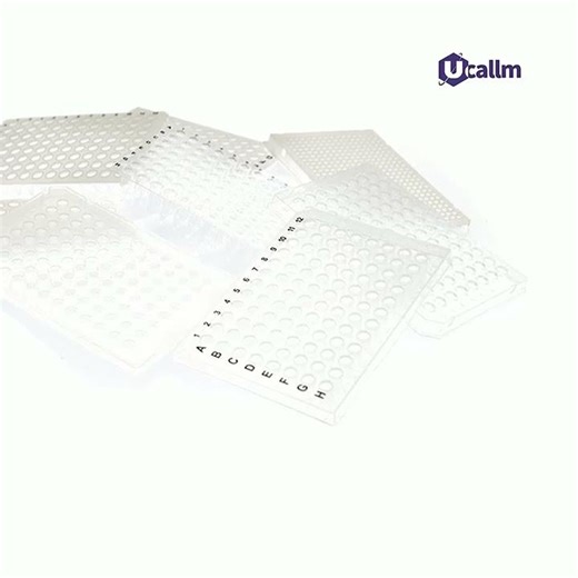 The Polymerase Chain Reaction (PCR) Process: A Step-by-Step Guide