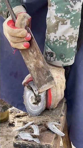 Hoof repair - Hollow donkey hoof, donkey hoof that can't fall! 【黑驴王子&ASMR hoof】#Shorts