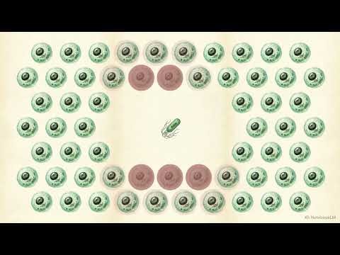 Engineered Bacteria as Living Therapeutics | The Future of AI-Driven Synthetic Biology | Uplatz