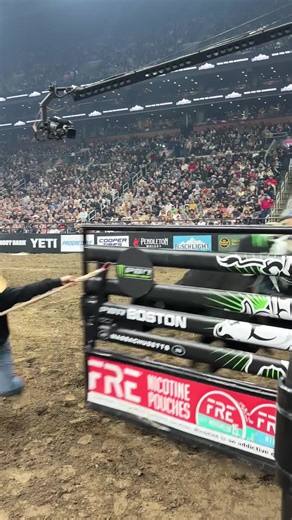 PBR Bull Riding Highlights: Clay's Fierce Performance