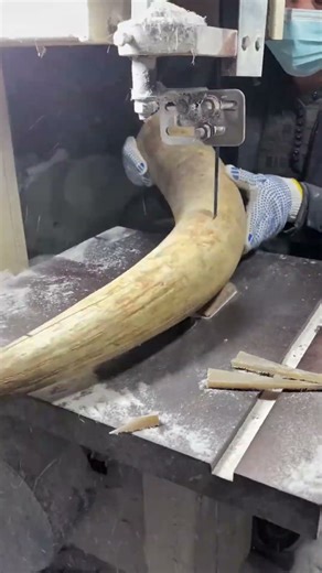 The comb making process, good tools and equipment can enhance the skill of the craftsman