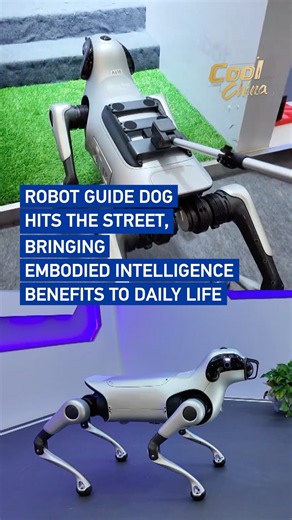 AI leads the way: Robot guide dog hits the streets #coolchina