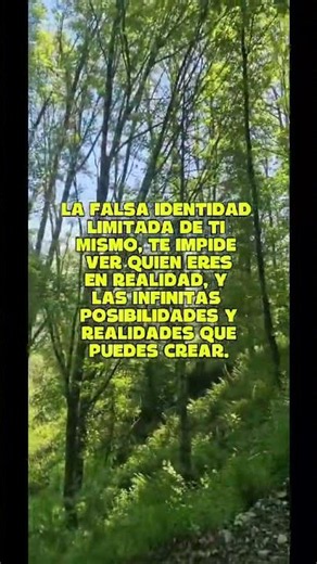 FRASE CANALIZADA PARA HOY 👇 #canalización #sanaciones #energia #amor #5d #nuevatierra #frases