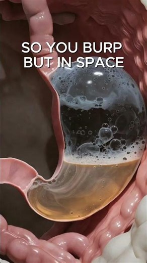 Never Burp in Space… #stemstorming #scienceshorts #sciencefacts