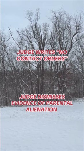 No Contact Orders #podcastclips #parentalalienation #fyp #viralvideo #familycourt
