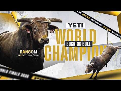 Ransom's Journey to Becoming the 2026 YETI Champion Bucking Bull