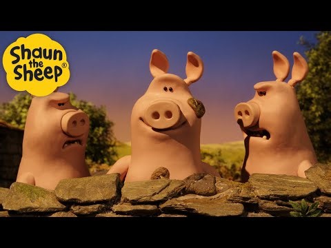 Three Big Pigs! 😲 | Shaun the Sheep Compilation | Shaun the Sheep & Friends