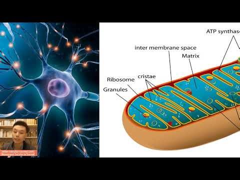 Aging Is Not a Clock - It Is an Internal Trajectory