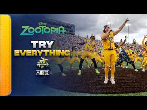 "Try Everything" Zootopia | Derek Klena | The Savannah Bananas