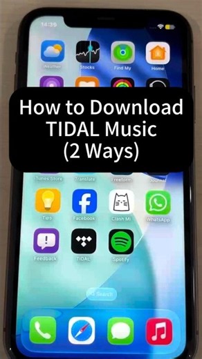 How to Download TIDAL Music for Offline Listening 🎵(2 Ways)