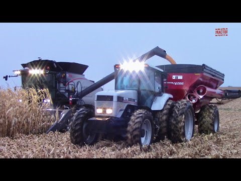 HARVESTING CORN, SPREADING MANURE & CHISEL PLOWING