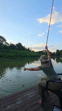 This is the fish that appears most frequently in the Brazilian Pantanal region.