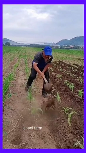 Agriculture Farming #agriculturefarming #agriculturetechnology #agriculuturemachine #tools #agritech