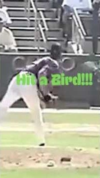 He Killed a Bird With a Pitch??? #randyjohnson #mlb #dbacks