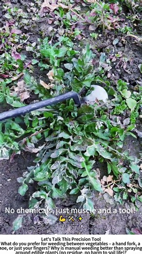 Hand Weeding with a Small Black Fork – Farmer Clears Muddy Ground 🌱🔧