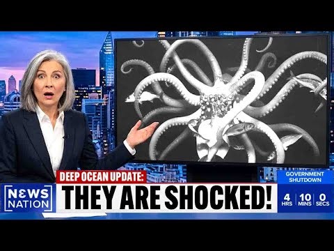 Deep Sea Footage Caught a Giant Squid Acting in a Way Scientists Were Not Ready For