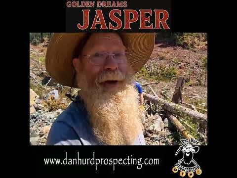 Golden Dreams Jasper!