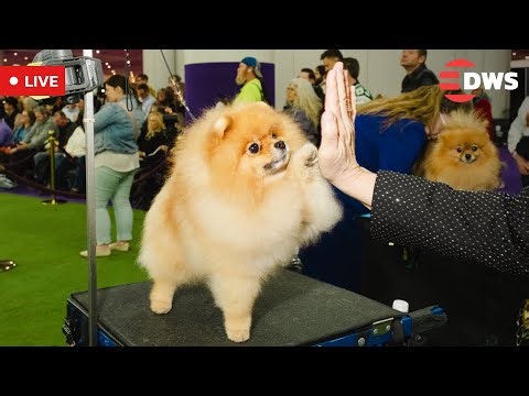 LIVE: Milan’s Duomo Square Gears Up for Milano Cortina 2026 Winter Olympics | AD15