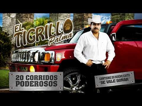 🔥 El Tigrillo Palma Grandes Exitos | 20 Corridos Poderosos Mix