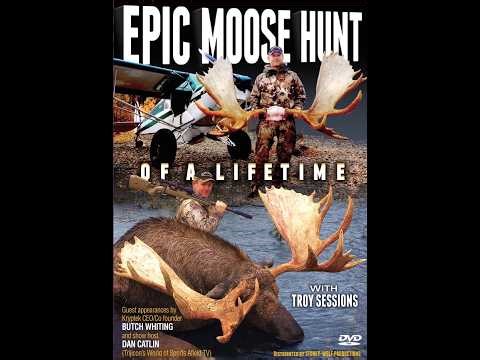 We Killed 3 Monster Bulls | Alaska Moose Hunt Success- (Epic Moose Hunt)