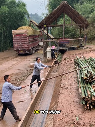 Bamboo papermaking technique: a thousand-year-old tradition and accumulation.