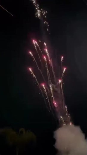 gold strobe rocket, whistle Salute 4in firework 3in coco explosion 🍊 County