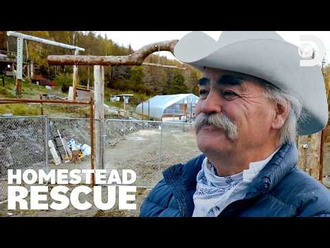 Bear-Proofing 🐻🛠️ Homestead Rescue | Discovery