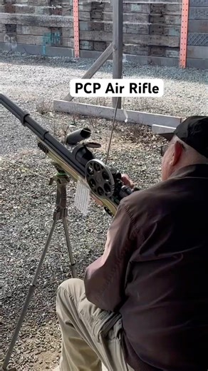 Field Target Precision Shot – Watch the Target Drop. #fieldtarget #airgunshooting