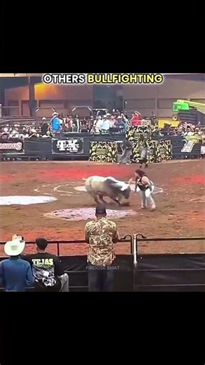 Other bullfighting vs The King of Bullfighting 🔥🔥