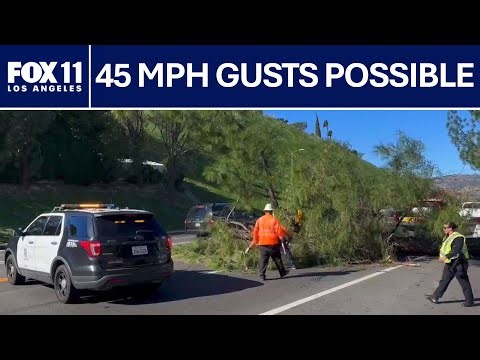 Santa Ana winds to hit Southern California through New Year's Day | FOX 11 LA