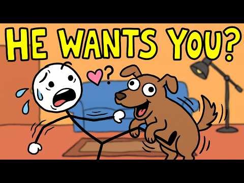 Do Animals Get Turned On by Humans?