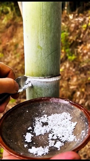 This powder is worth thousands of $ #shorts #farming #viral