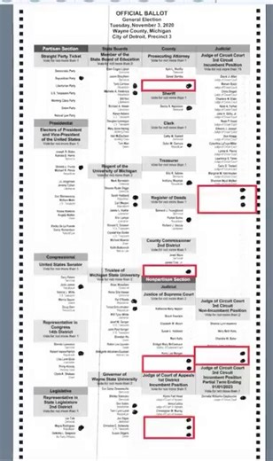 BOMBSHELL: Detroit 2020 Election Document Investigation Reveals WHOPPING 12.4% of Absentee Ballots Are MISSING OFFICIAL ENVELOPE Required By Law From 51 Taxpayer-Subsidized Housing Addresses | Patty McMurray, The Gateway PunditNew Jersey resident Yehuda Miller, Check My Vote founder Phani Mantravadi, and Patty McMurray of The Gateway Pundit have joined forces with over 100 incredibly dedicated volunteers in one of the largest citizen-led election integrity investigations in American history.Our 