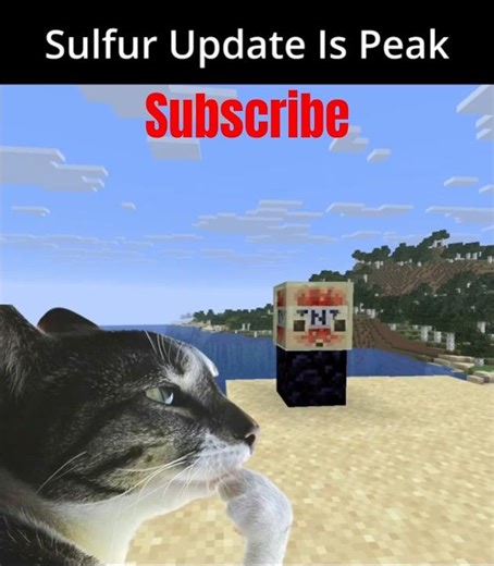 We got Angry Birds in Minecraft now