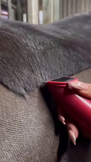 Hurricane Melissa Update: 185mph Winds Make Landfall